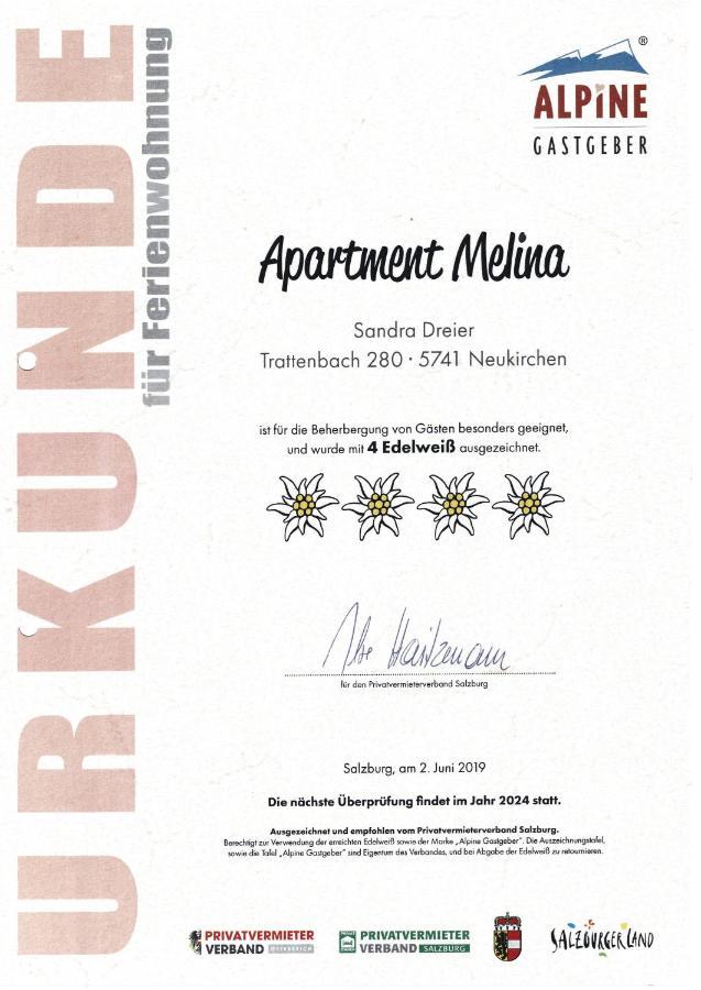 Apartment Melina Нойкирхен-ам-Гросфенедигер Экстерьер фото